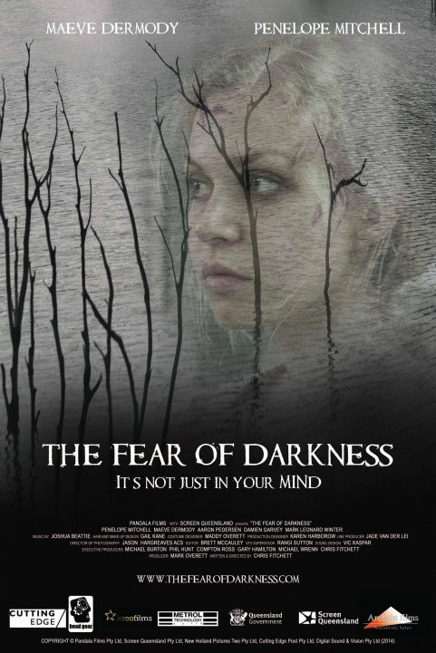 The Fear of Darkness (2014) poster