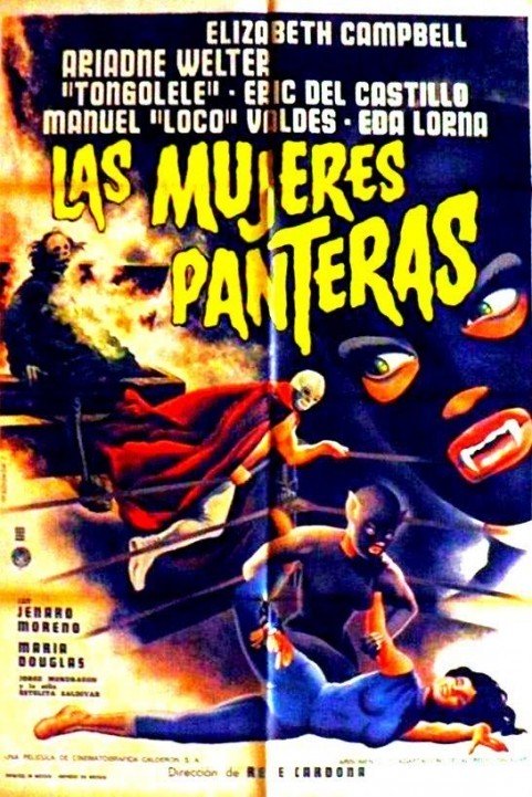 Las Mujeres Panteras (1967) poster