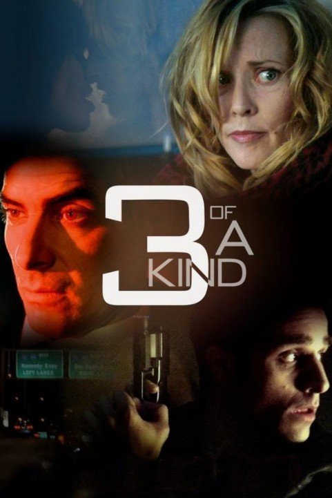 3 of a Kind (2012) poster