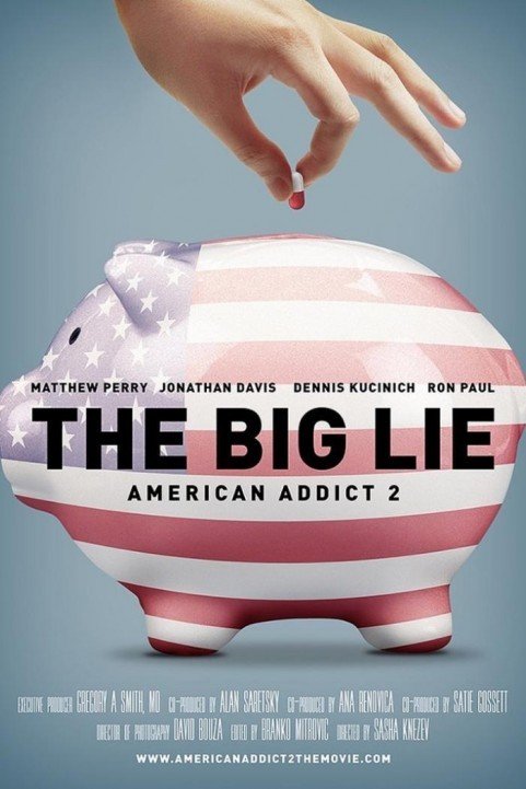 The Big Lie: American Addict 2 (2016) poster