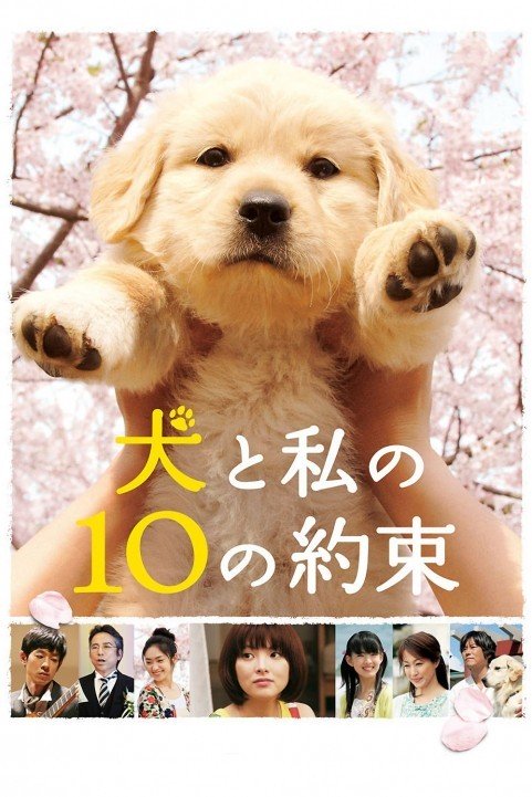 10 Promises to My Dog poster