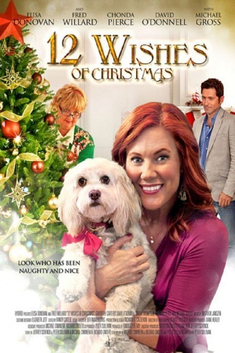 12 Wishes of Christmas poster