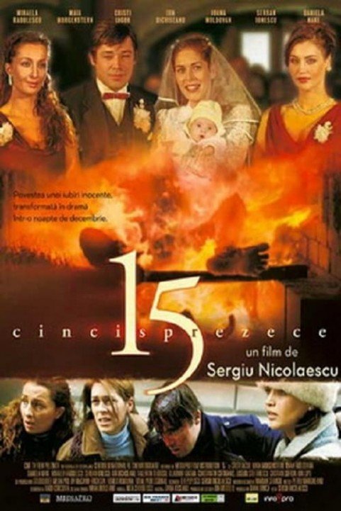 15 poster