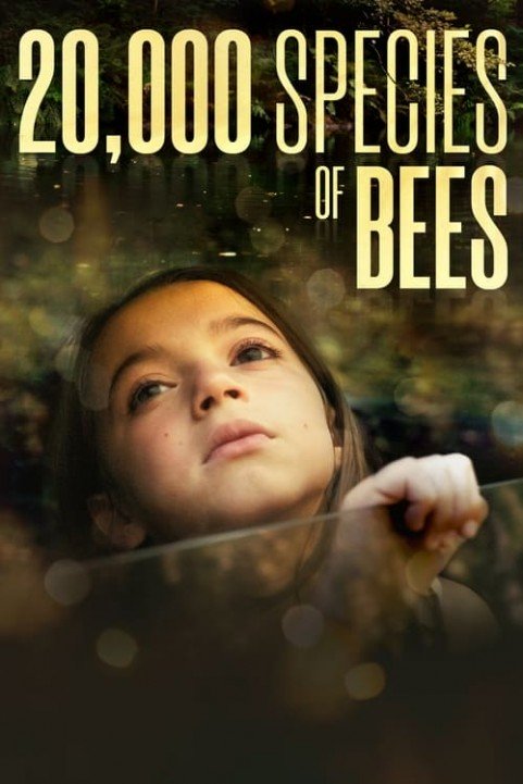 20,000 Species of Bees poster