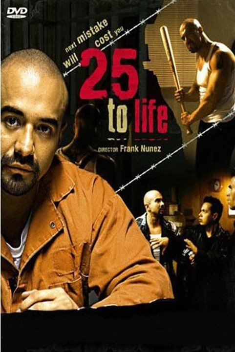 25 to Life poster