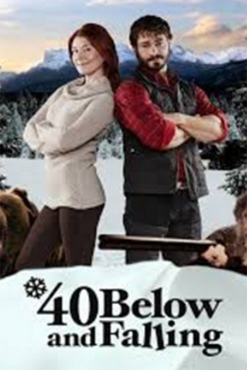 40 Below and Falling poster