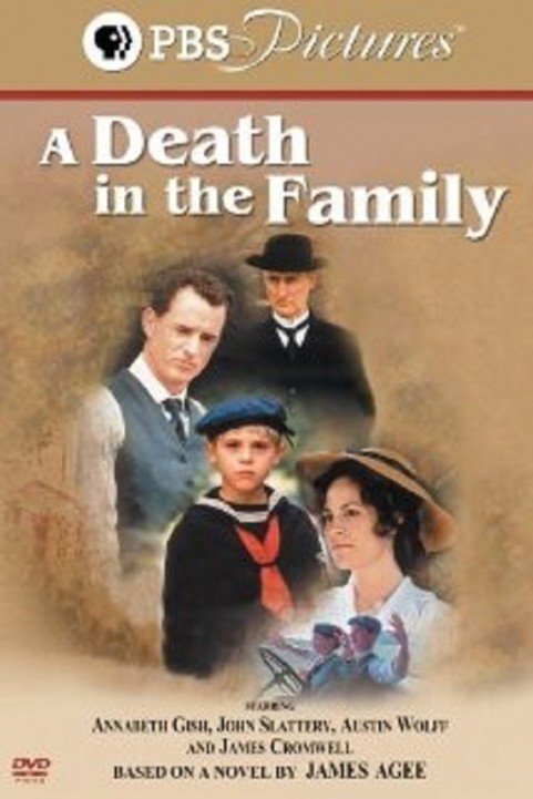 A Death in the Family poster