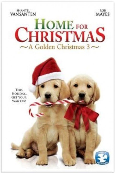 A Golden Christmas 3 poster