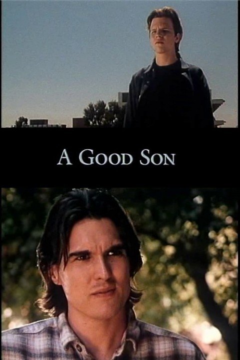 A Good Son poster