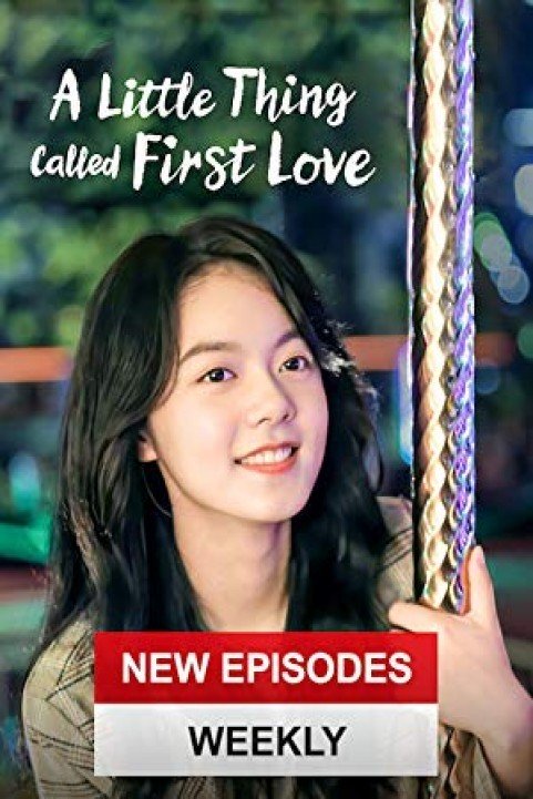 A Little Thing Called First Love poster