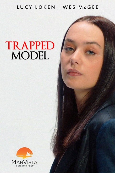 A Model Kidnapping poster