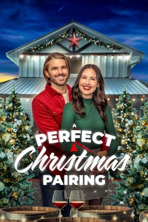 A Perfect Christmas Pairing poster