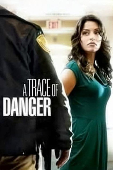 A Trace of Danger poster