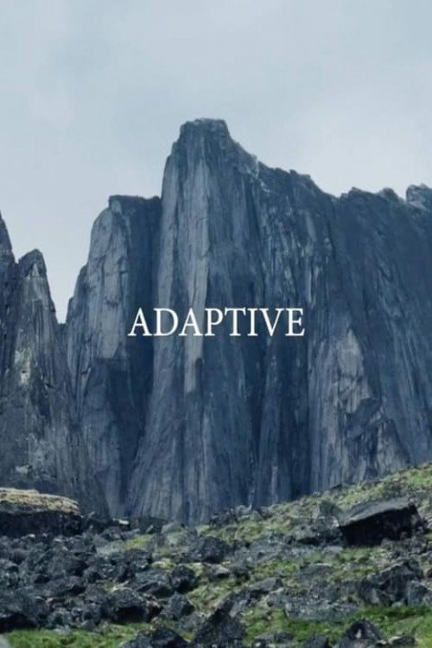 Adaptive poster