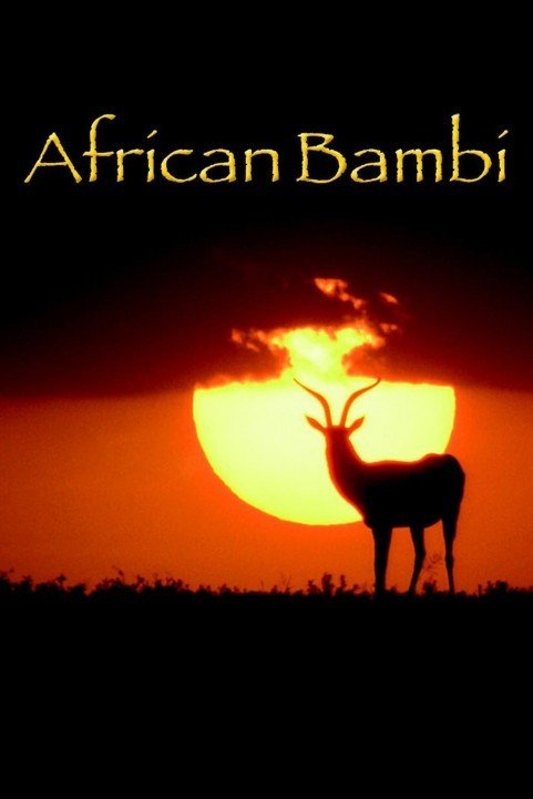 African Bambi poster