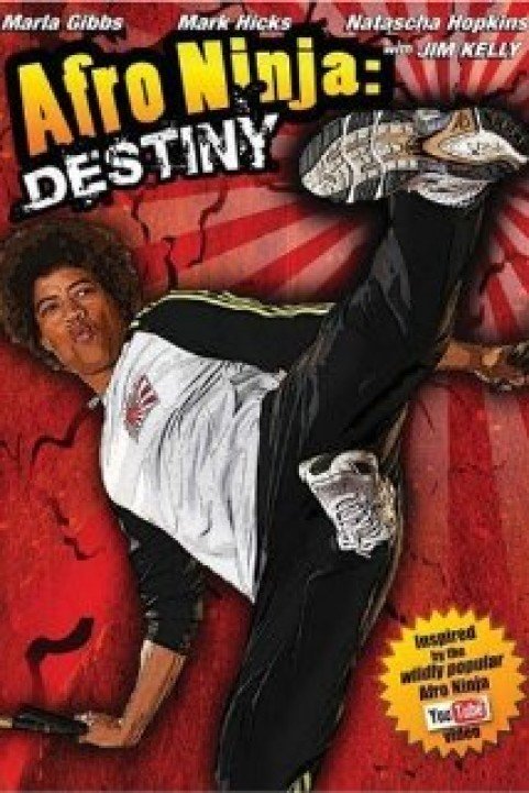 Afro Ninja poster