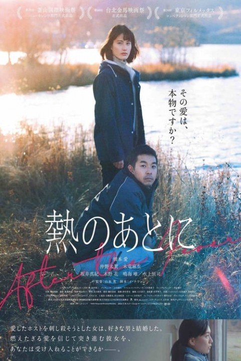 After the Fever poster