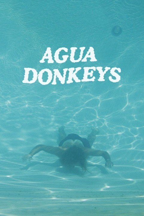 Agua Donkeys poster