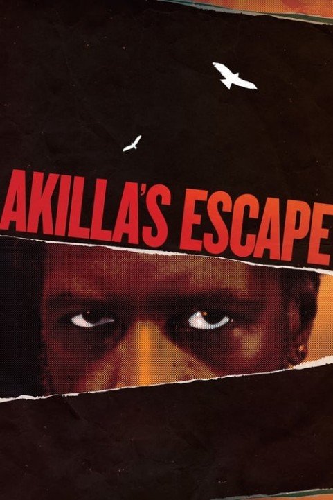 Akilla's Escape poster