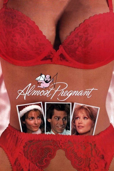 Almost Pregnant poster