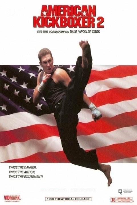 American Kickboxer 2 poster