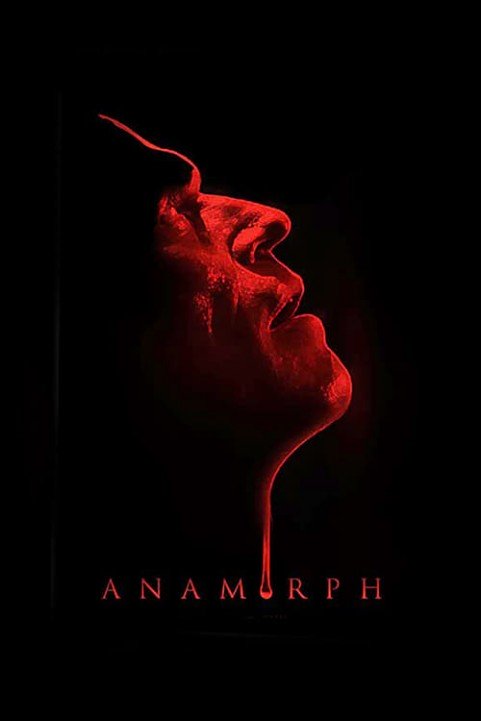 Anamorph poster