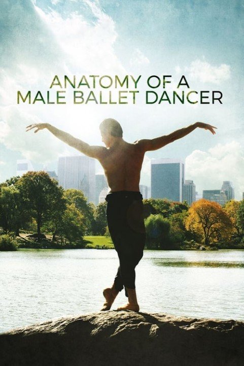 Anatomy of a Male Ballet Dancer poster