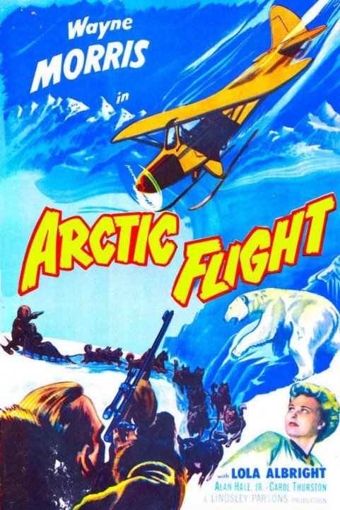 Arctic Flight poster