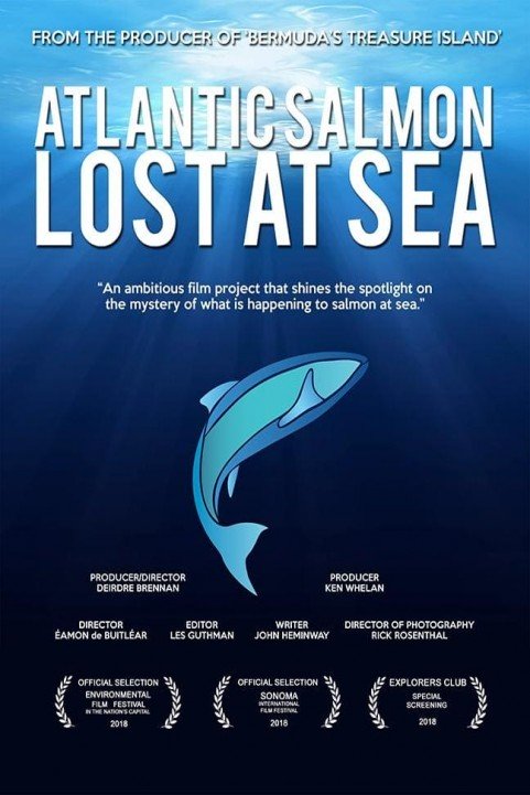 Atlantic Salmon: Lost at Sea poster