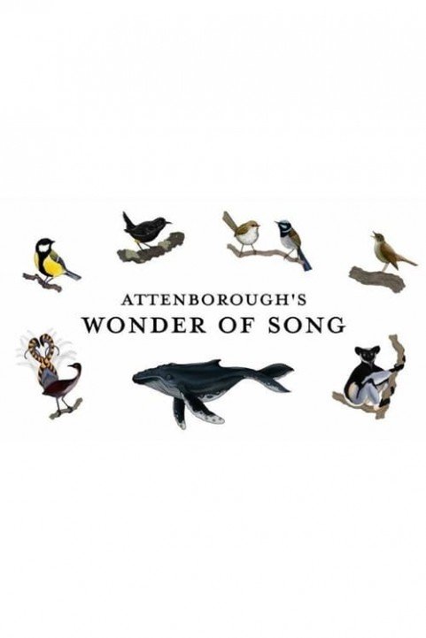 Attenborough's Wonder of Song poster