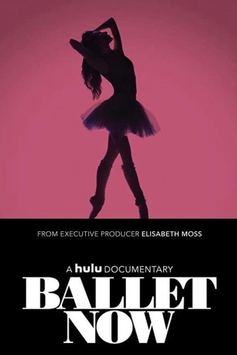 Ballet Now poster