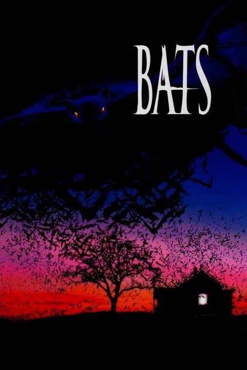 Bats & Jokes poster