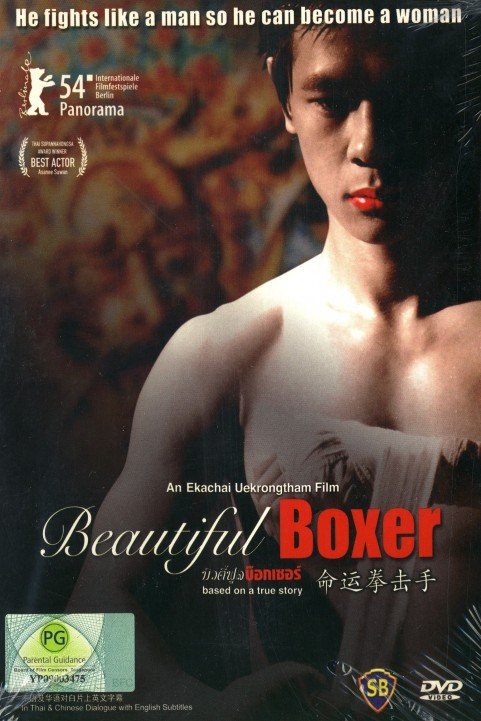 Beautiful Boxer poster