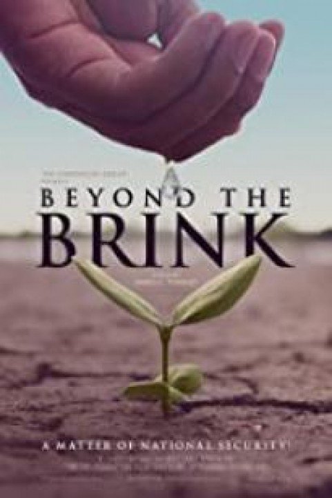 Beyond the Brink poster