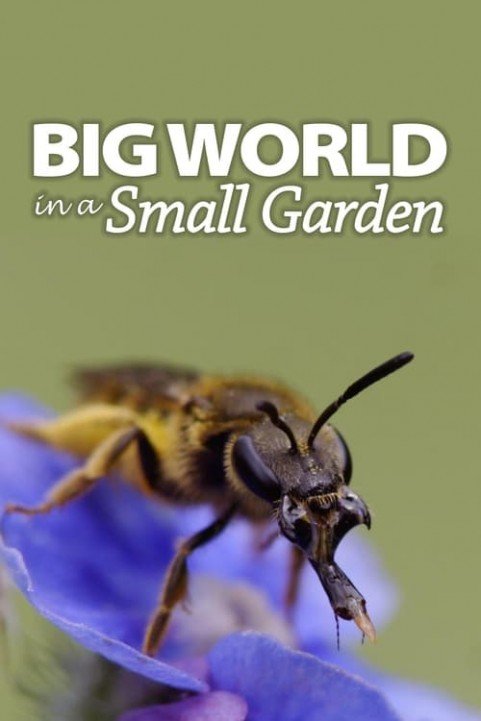 Big World In A Small Garden poster