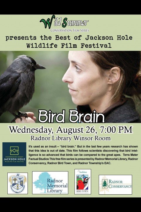 Bird Brain poster