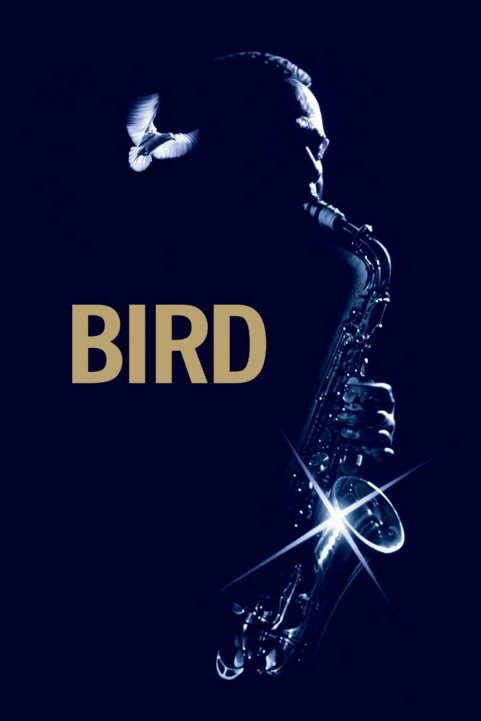 Bird poster