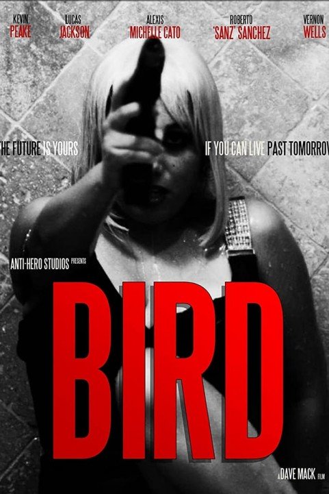 Bird poster