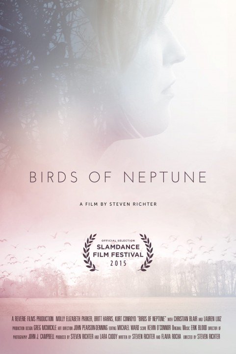 Birds of Neptune poster