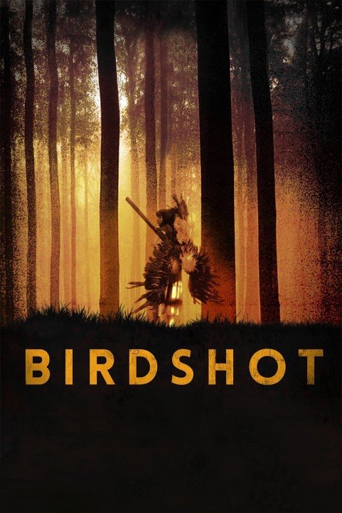 Birdshot (2016) poster