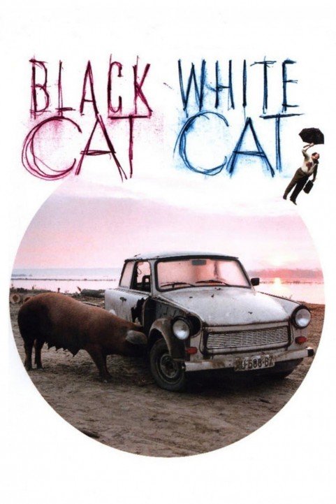 Black Cat, White Cat poster