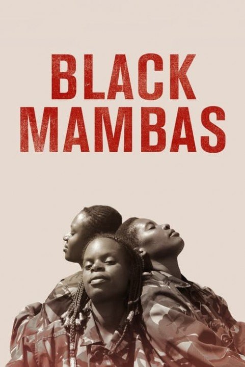 Black Mambas poster