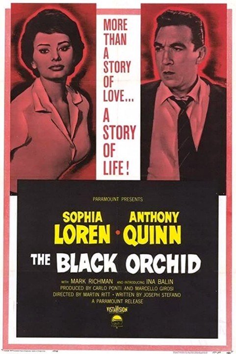 The Black Orchid poster