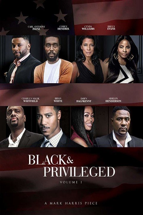 Black Privilege poster