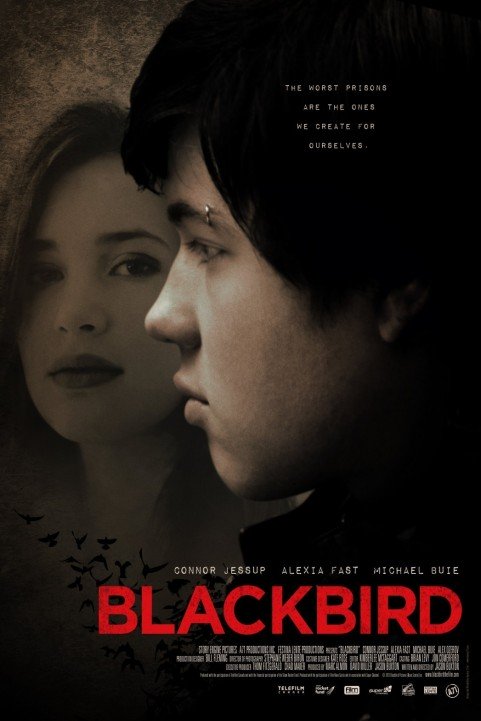 Blackbird poster