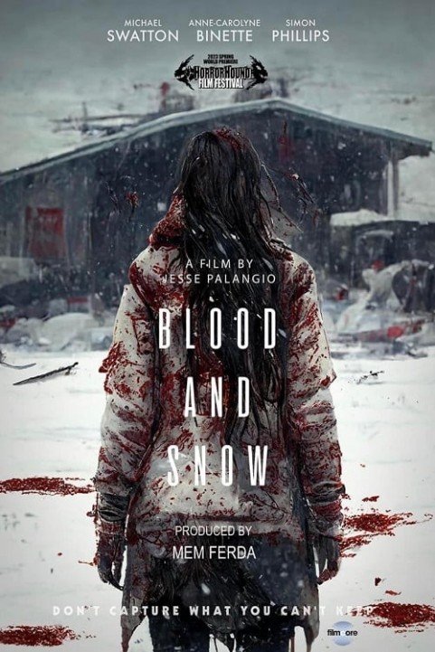 Blood and Snow poster