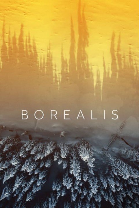 Borealis poster