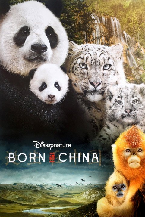 Born in China (2017) poster