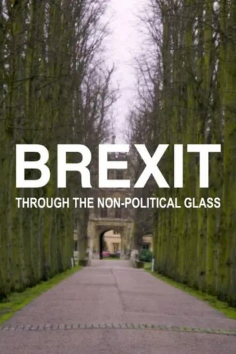 Brexit Through the Non-political Glass poster