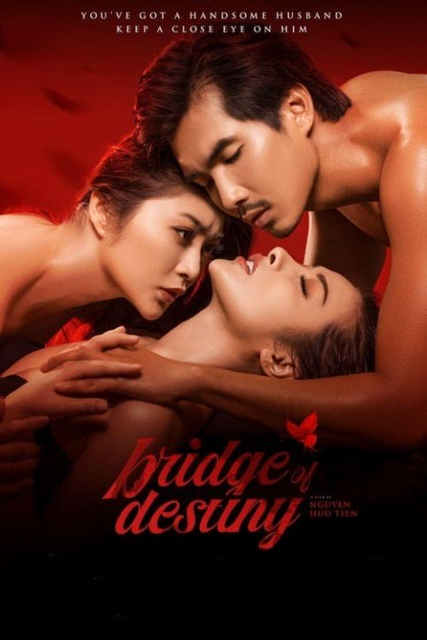 Bridge of Destiny poster